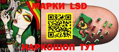 СК Камышлов