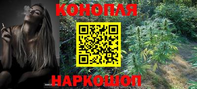 СК Камышлов