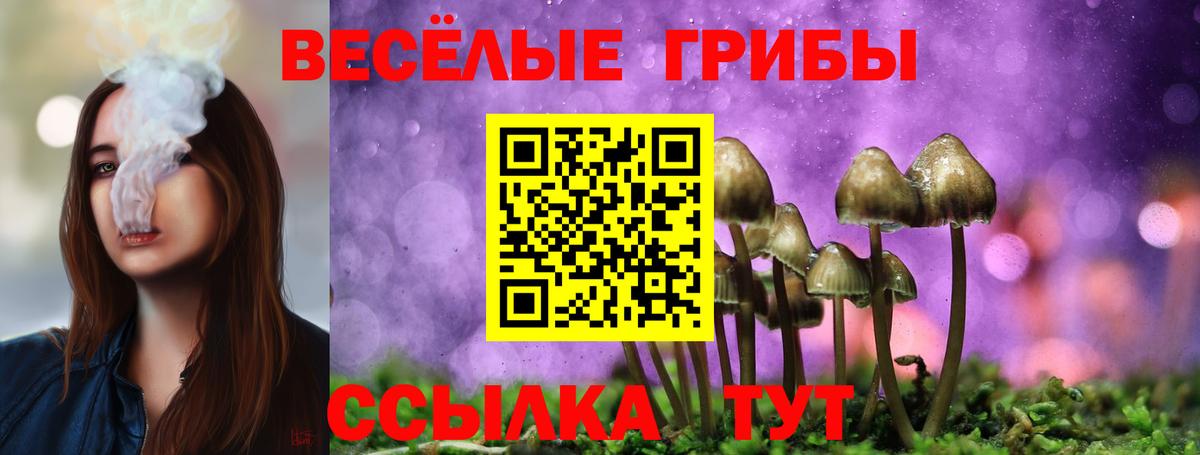 Галлюциногенные грибы мухоморы  Псилоцибиновые грибы Psilocybine cubensis  Вход с VPN  Лангепас 